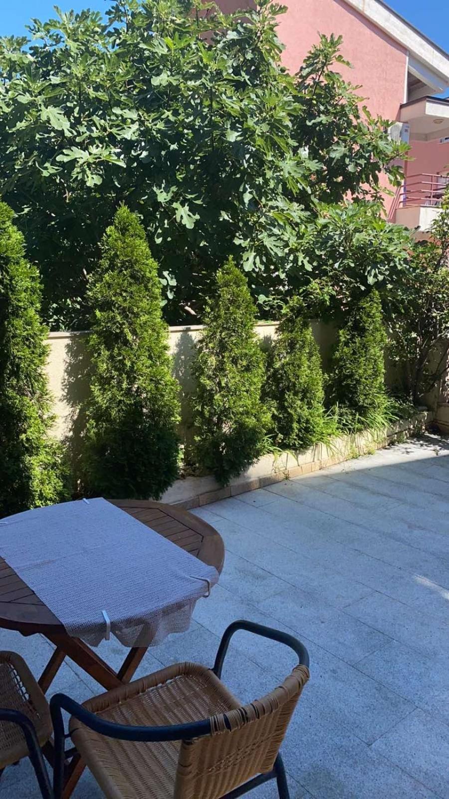 Apartments Ivan Petrovac المظهر الخارجي الصورة