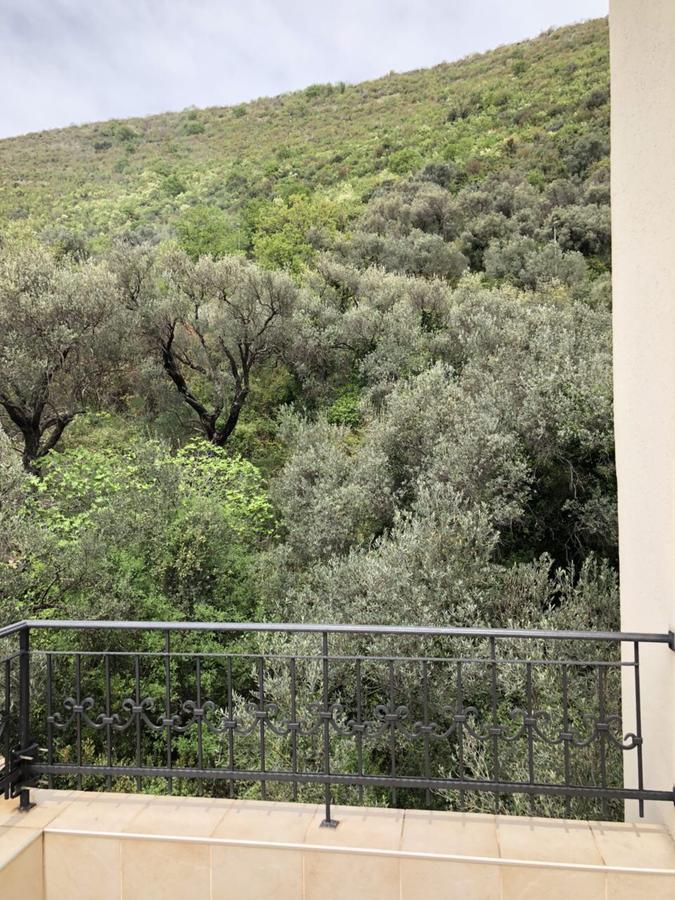 Apartments Ivan Petrovac المظهر الخارجي الصورة